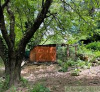 A cottage in Bratislava IV surrounded by greenery and an old tree in the forest.