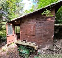 A wooden cabin in Bratislava IV surrounded by forest, with open doors and greenery.