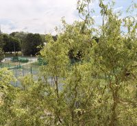 The tennis courts on Starohorská Street in Banská Bystrica are lined with trees and tall buildings.