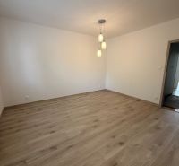 A room in a 2-room apartment with a wooden decor floor and pendant lighting.