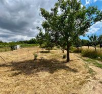 A garden near a cottage in Skalica with fruit trees and a meadow under a cloudy sky.