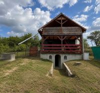 A cottage in Skalica with a front terrace and an underground storage space, surrounded by greenery.