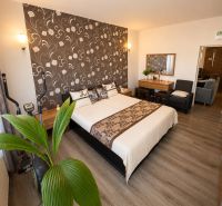 Elegant bedroom with dark wallpaper and wood-decor flooring in a family house.