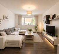 Living room in a family house with a comfortable sofa and a wooden decor floor.