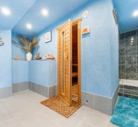 Blue sauna and shower in a family house, decorative elements and ornamental vases in the corner.