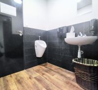 Restroom in the gastro area with a sink, urinal, and floor with a wooden decor.