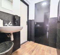 A restroom in a gastro space with black tiles and a floor with a wood design.