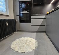 A stylish kitchen in a 2-room apartment with modern appliances and a round rug.
