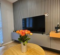 Living room in a two-room apartment with a wooden decor floor and a view of the garden.