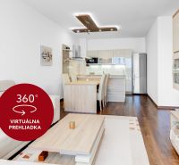 Living area with a kitchen, sofa, and wooden decor flooring in a two-room apartment.