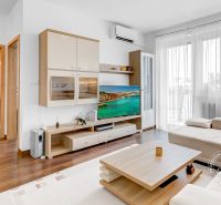A bright living room in a two-room apartment with wood-patterned flooring, a sofa, and a TV.