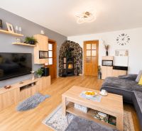 Living room in a 3-room apartment with a gray wall, sofa, and wooden decor flooring.