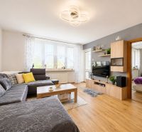 Living room in a 3-room apartment with a wooden decor floor and a comfortable sofa.