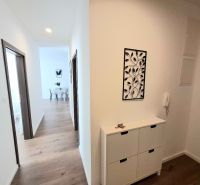 A hallway with a wall with decoration and a floor with a wooden decor in a 2-room apartment.