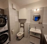 Bathroom in a 2-room apartment with a shower, washing machine, sink, and toilet.