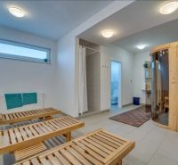 A spa with loungers, a shower, and a sauna in a 2-room apartment.