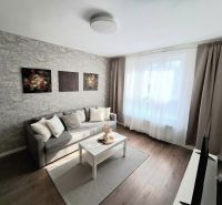 Living room with a sofa, table, and decorations, floor with wooden decor in a 2-room apartment.