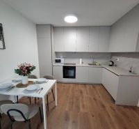 A kitchen in a 2-room apartment with a set table and a floor with a wooden decor.