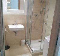 A bathroom with a sink and a shower in a studio apartment.