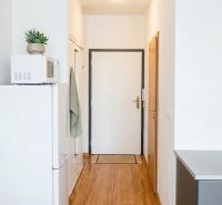 Cozy studio apartment with a hallway, wood-patterned flooring, and white entrance door.