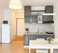 A kitchenette in a studio apartment with a wooden-patterned floor and gray cabinets.