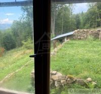 View from the family house in Kokava nad Rimavicou of stone walls and greenery.