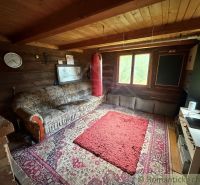 A room in a family house with a sofa, carpet, and punching bag, wooden wall paneling.