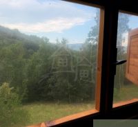 A view from the window of a family house to greenery and hills in Kokava nad Rimavicou.