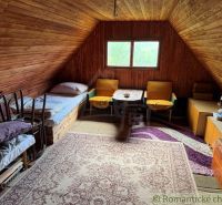 An attic room in a family house with wooden walls and a colorful carpet.