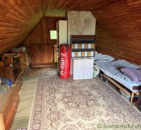 Attic room with wooden decor, a bed, and a punching bag in a family house.