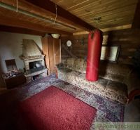 A room in a family house with a fireplace, a sofa, a punching bag, and a carpet on the floor.