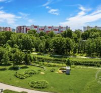 Greenery and residential blocks in Bratislava - Petržalka on Rusovská Road.