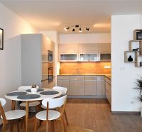 Modern kitchen and dining area in a 2-room apartment with a wooden decor floor.