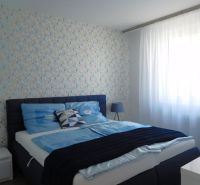 A bedroom in a 2-room apartment with blue bedding and patterned wallpaper.