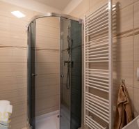A bathroom with a shower and a ladder radiator in a 2-room apartment.
