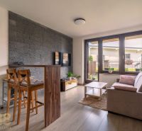 Living area of a 2-room apartment with a window, sofa, TV, and flooring with a wood decor.