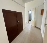 A corridor in manufacturing premises with a gray floor and double doors.