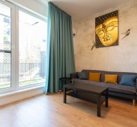 1-bedroom apartment with a wooden decor floor, a sofa, and a Buddha painting on the wall.