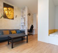 Interior of a 1-room apartment with a wooden decor floor, a sofa, and an art painting.