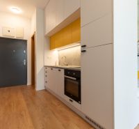 Kitchen area in a studio apartment with wood-patterned flooring and yellow cabinets.