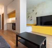 Living room in a studio apartment with wood-patterned flooring and yellow furniture.