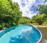 A swimming pool surrounded by greenery in the garden of a family house on Čigérska Street in Dunajská Streda.