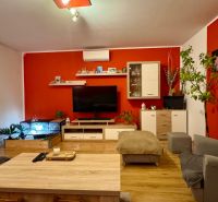 Living room in a family house with a red wall, television, and wooden decor flooring.