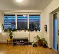 In the interior of a family house with a wooden decor floor, there are plants and storage space for shoes.