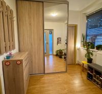 A hallway in a family house with a wooden decor floor, a mirror, and flowers on the windowsill.