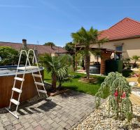 The garden of a family house in Čakajovce with a swimming pool and palm trees in the sun.