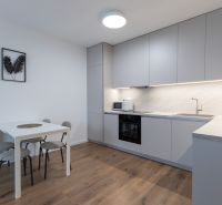 A kitchen in a 2-room apartment with a wooden decor floor, a dining table, and appliances.