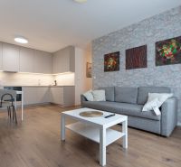 Interior of a 2-room apartment with a kitchen, sofa, table, and floor with a wood decor.