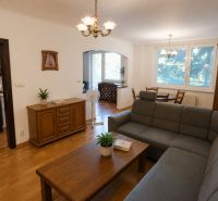 Living room in a two-room apartment with a wooden decor floor and a dark sofa.