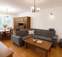 Living room in a two-room apartment with a wooden decor floor, dark furniture, and a gray sofa.